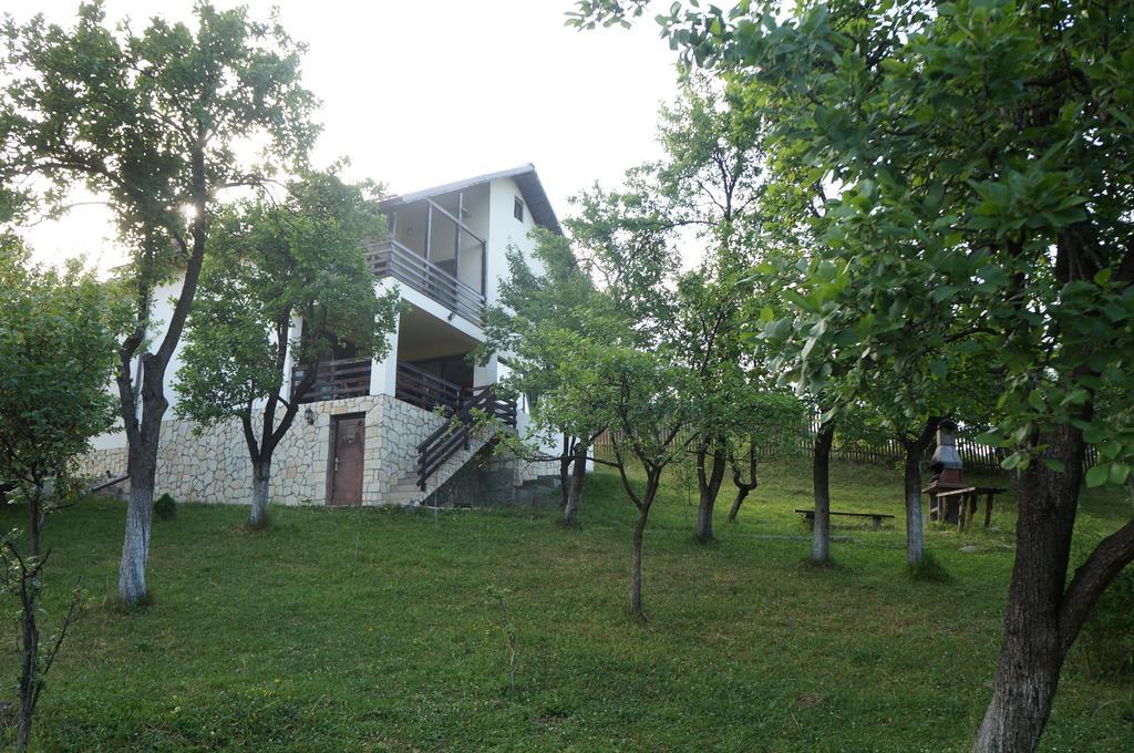 Casa Paltinu Hotel Lunca Mare Exterior foto